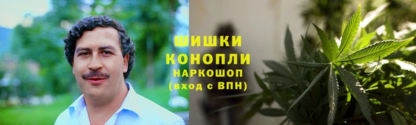 дживик Касимов