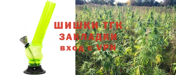 дживик Касимов