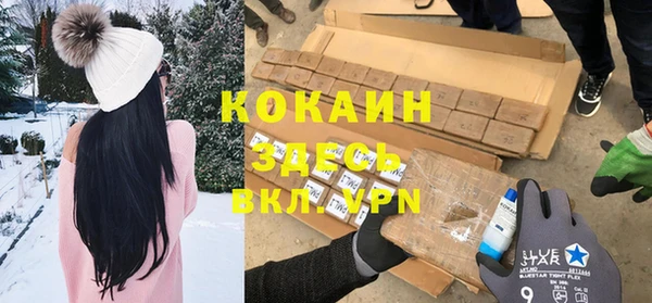дживик Касимов