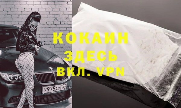 дживик Касимов