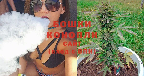 дживик Касимов