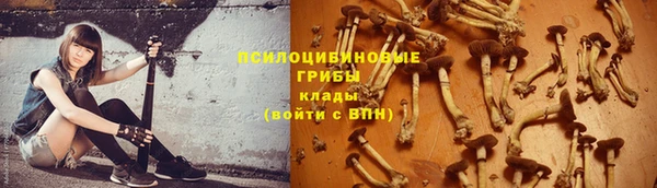 СК Каменск-Шахтинский